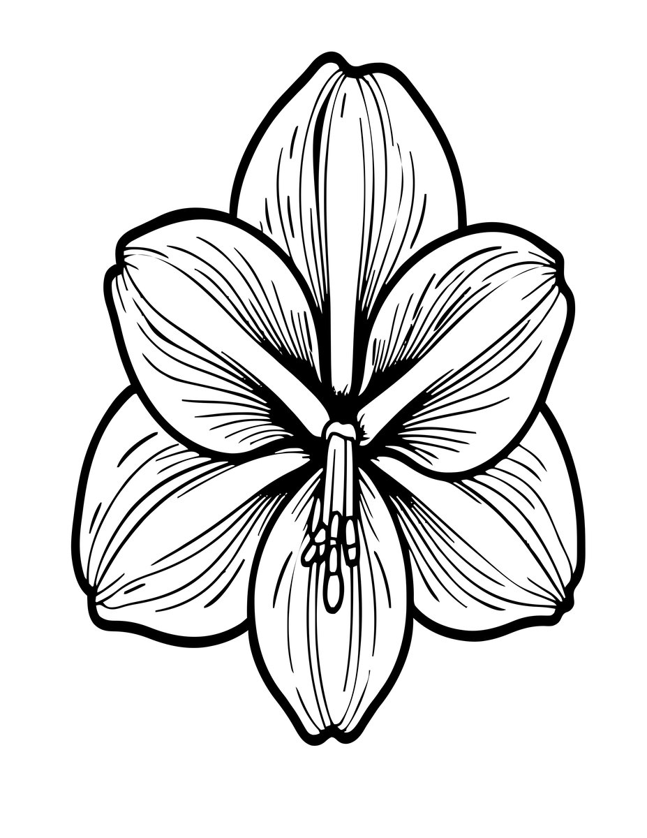 Single Bloom - free printable coloring page