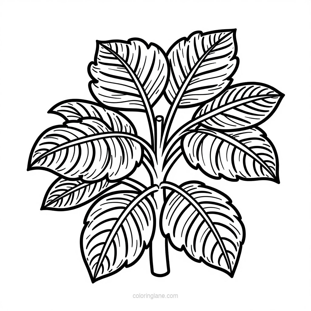 Pot Display - free printable coloring page