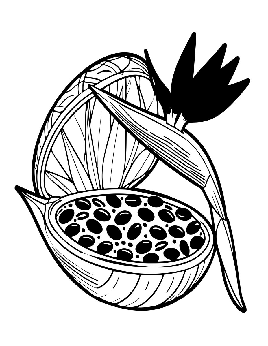 Seed Pod - free printable coloring page