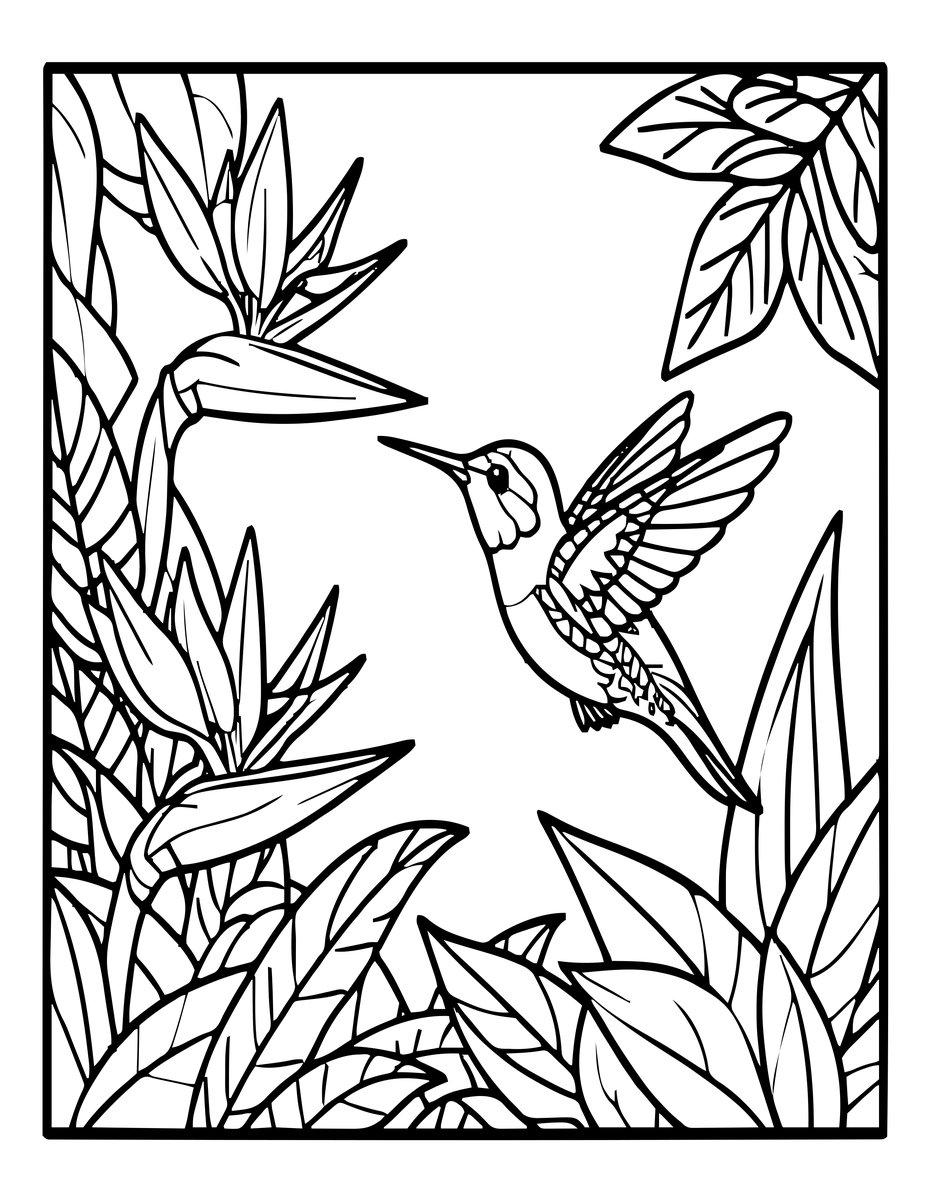 Hummingbird - free printable coloring page