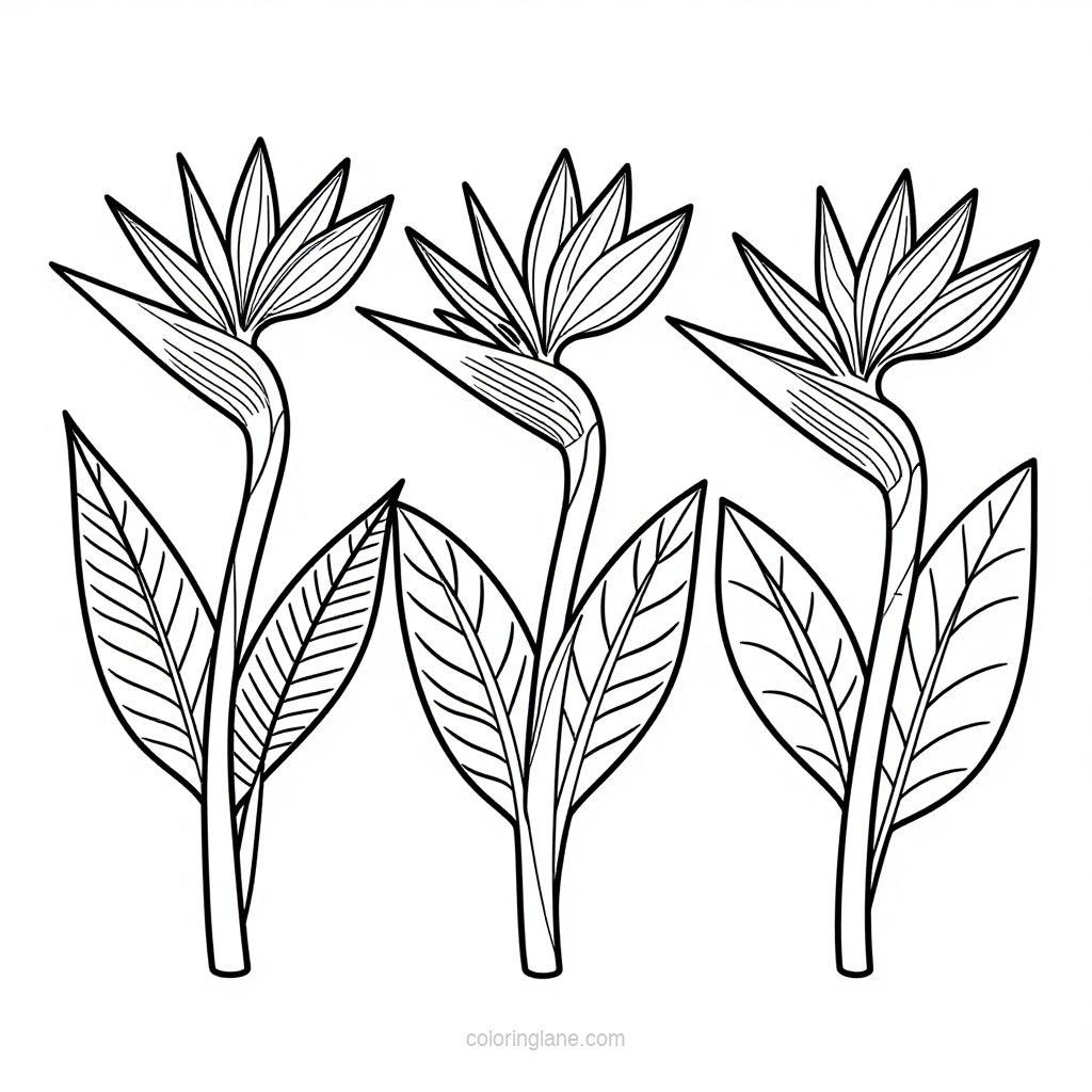 Bird in Bloom - free printable coloring page