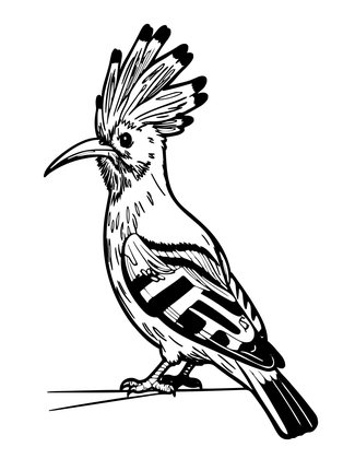 Hoopoe - Free printable coloring page