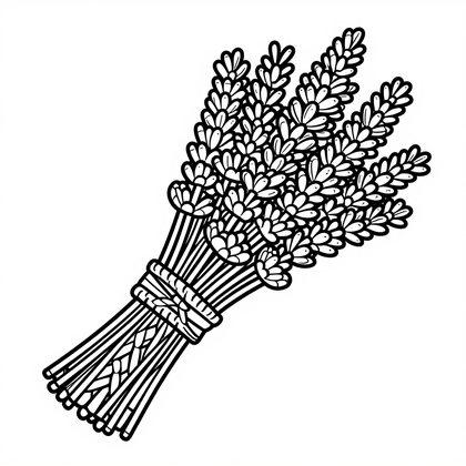 Buttonhole - Free printable coloring page