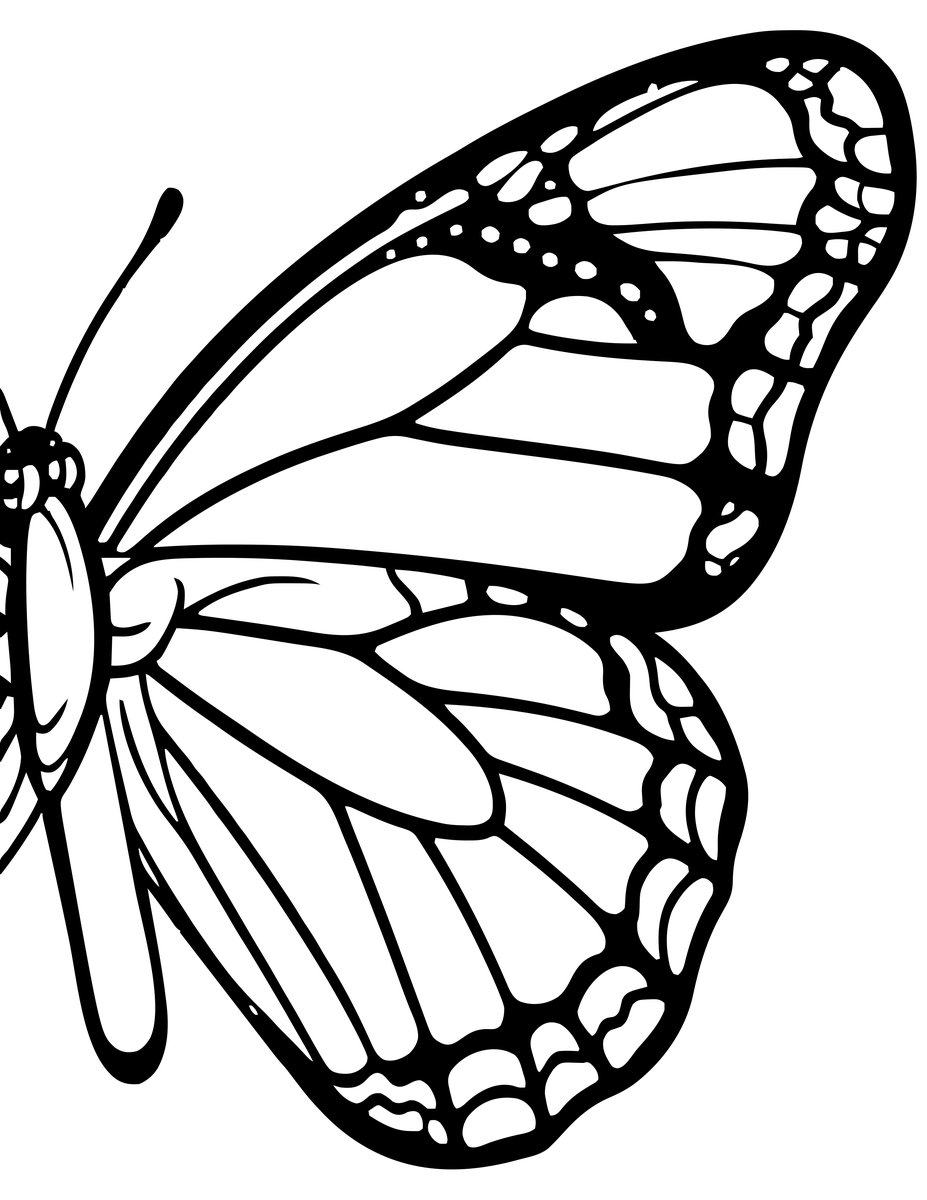 Butterfly Wings Close-up - free printable coloring page