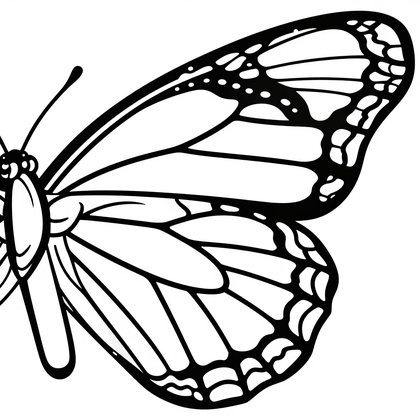 Zebra Longwing - Free printable coloring page