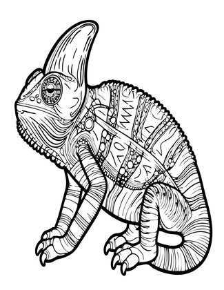 Veiled Chameleon - Free printable coloring page