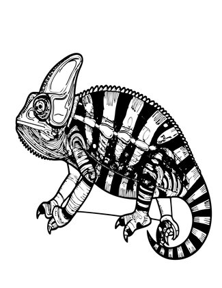 Chameleon Display - Free printable coloring page