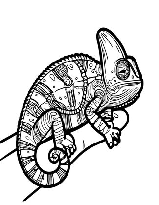 Baby Chameleon - Free printable coloring page