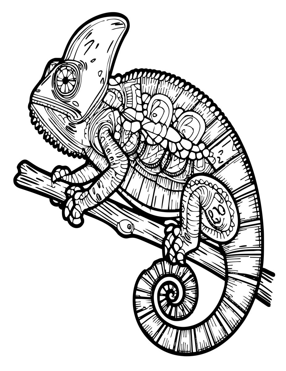 Chameleon Tail - free printable coloring page