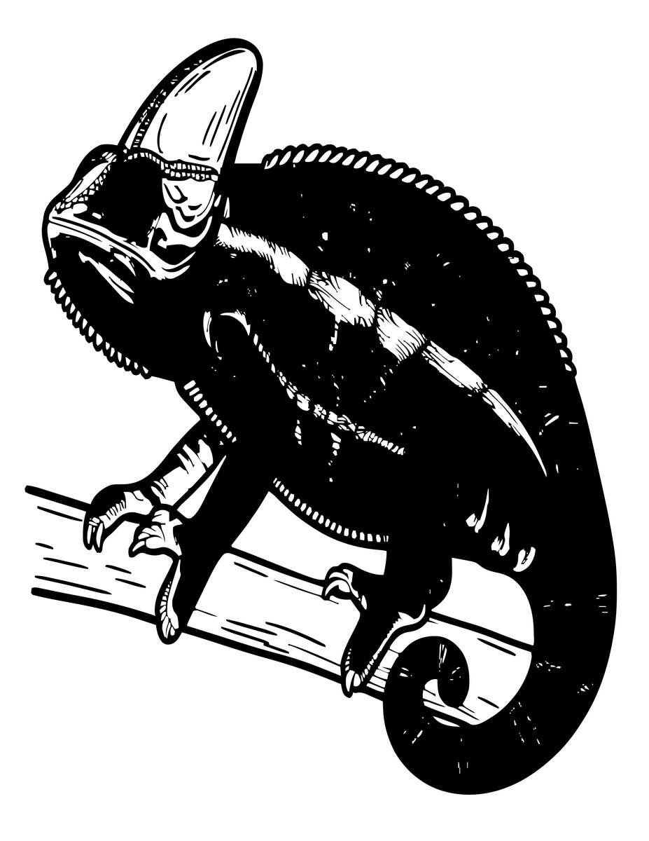 Female Chameleon - free printable coloring page