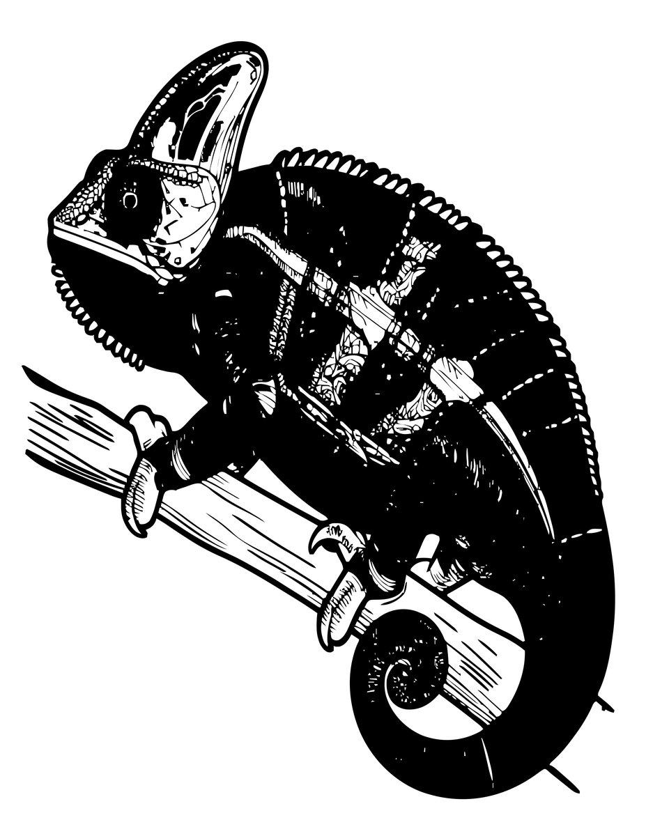 Panther Chameleon - free printable coloring page