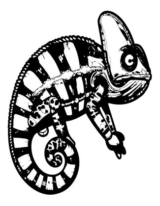 Chameleon Color Change - Free printable coloring page