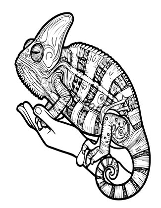 Chameleon Conservation - Free printable coloring page