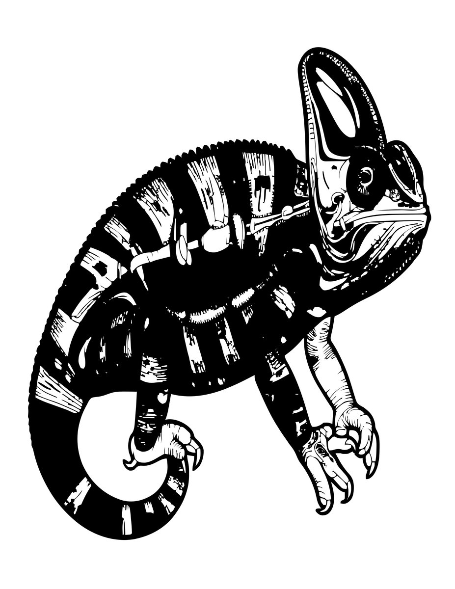 Panther Chameleon - free printable coloring page