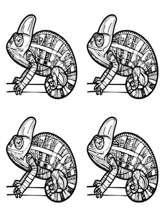 Chameleon Colors - Free printable coloring page