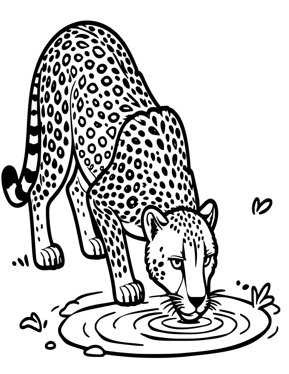 Cheetah Drinking - free printable coloring page