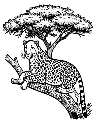 Cheetah in Tree - Free printable coloring page