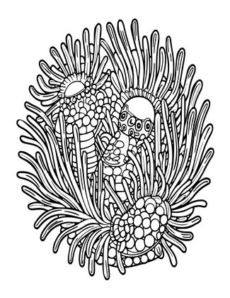 Tube Anemones - Free printable coloring page