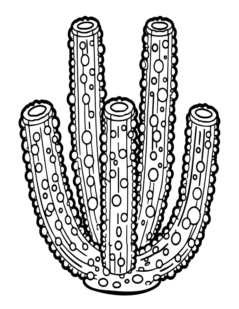 Pillar Coral - free printable coloring page