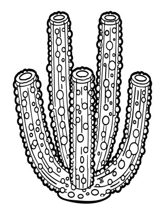 Pillar Coral - Free printable coloring page