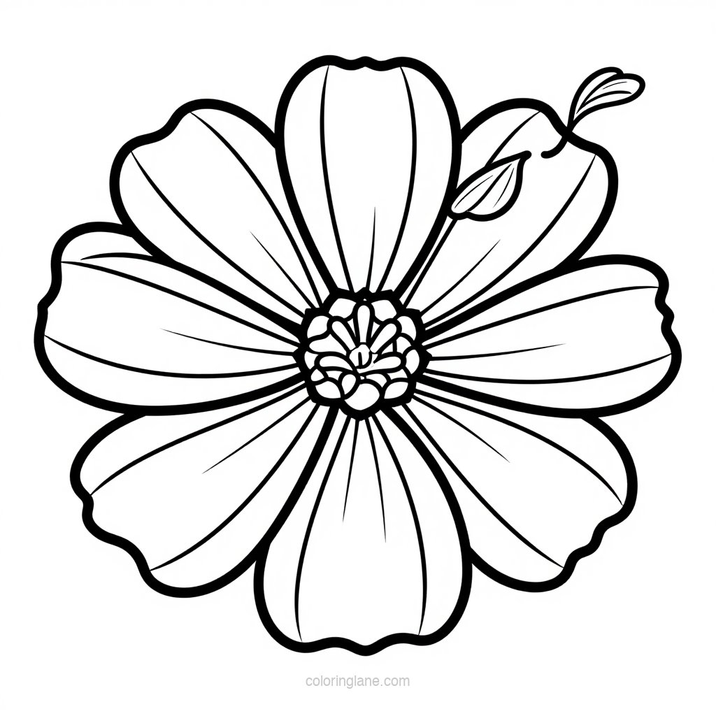 Poppy and Cosmos - free printable coloring page
