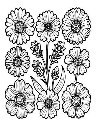 Pressed Meadow - Free printable coloring page
