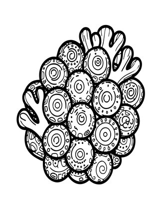 Cuttlefish Eggs - Free printable coloring page