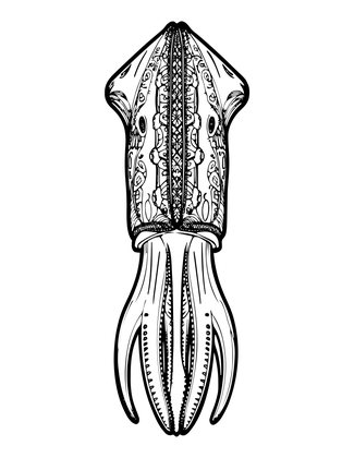 Cuttlebone - Free printable coloring page