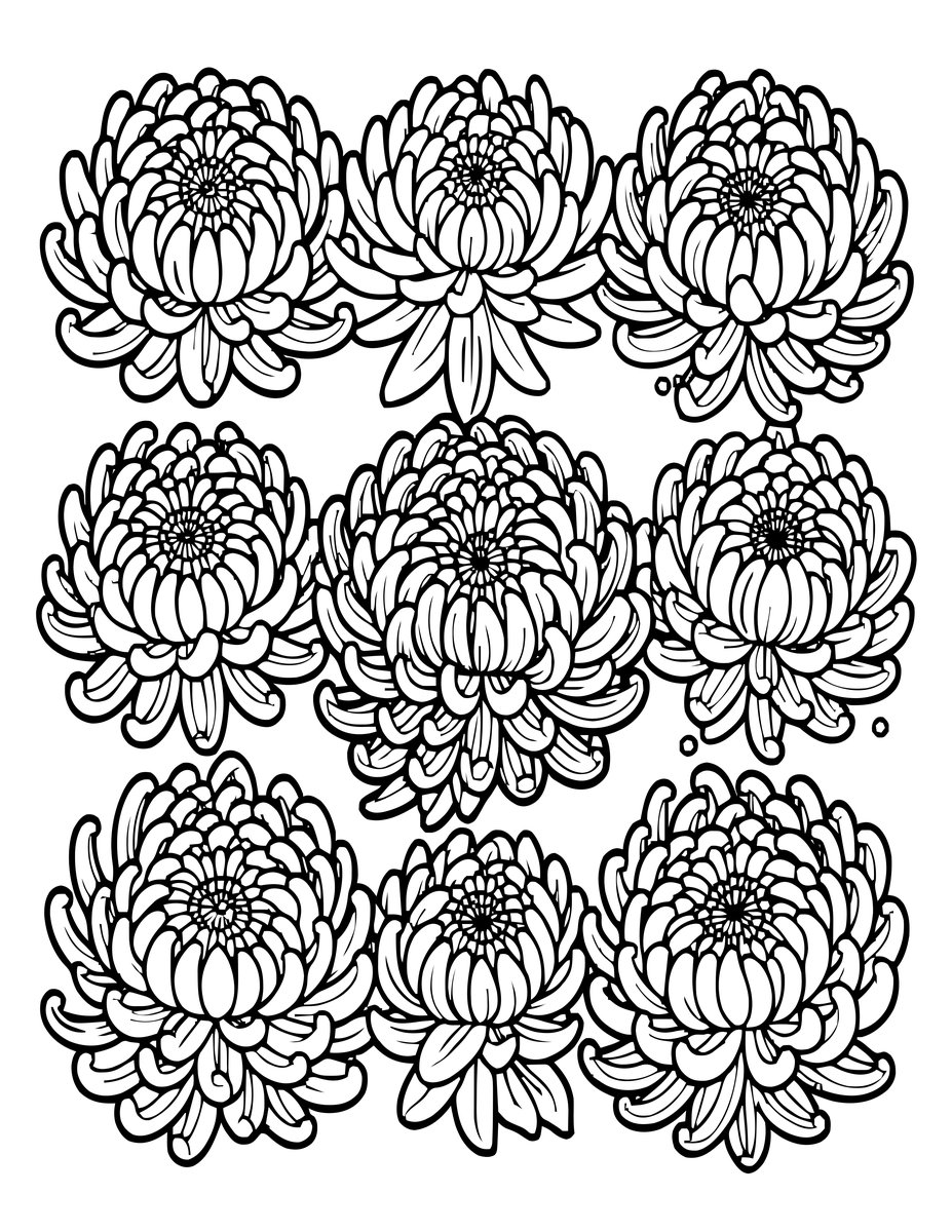 Chrysanthemum Fan - free printable coloring page