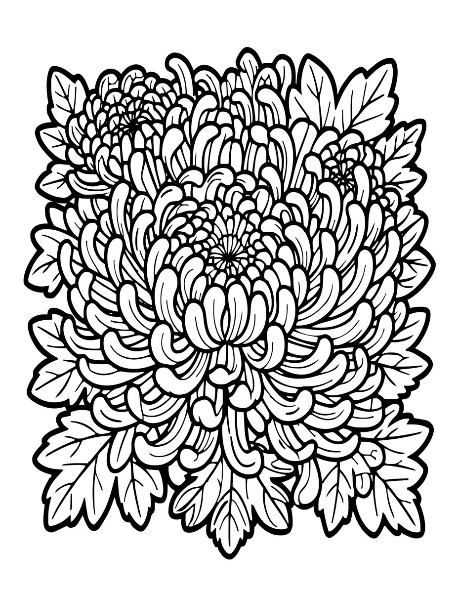 Bronze Chrysanthemum - free printable coloring page