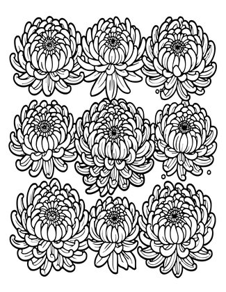 Chrysanthemum Fan - Free printable coloring page