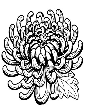 Quill Chrysanthemum - Free printable coloring page