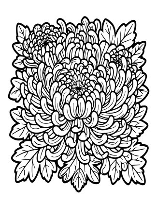 Bronze Chrysanthemum - Free printable coloring page