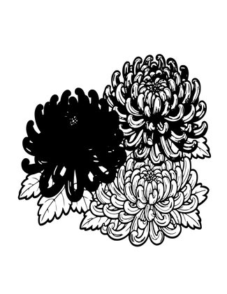 Cushion Chrysanthemum - Free printable coloring page