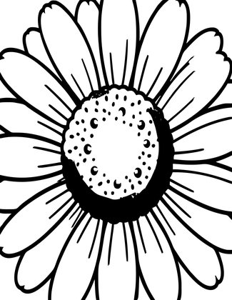 Daisy Close-Up - Free printable coloring page