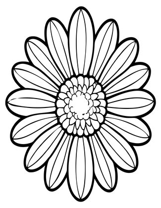 Shasta Daisy - Free printable coloring page