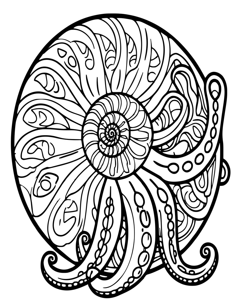 Nautilus - free printable coloring page