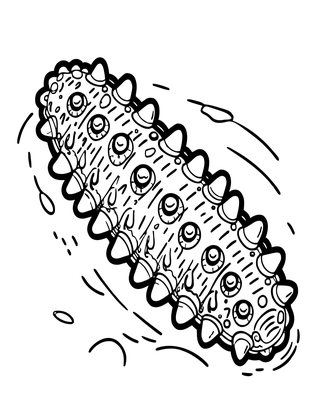 Sea Cucumber - Free printable coloring page