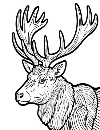 Stag Antlers Close-up - Free printable coloring page