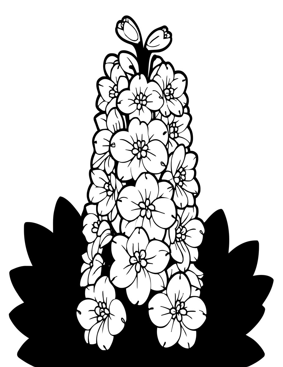 White Delphinium - free printable coloring page