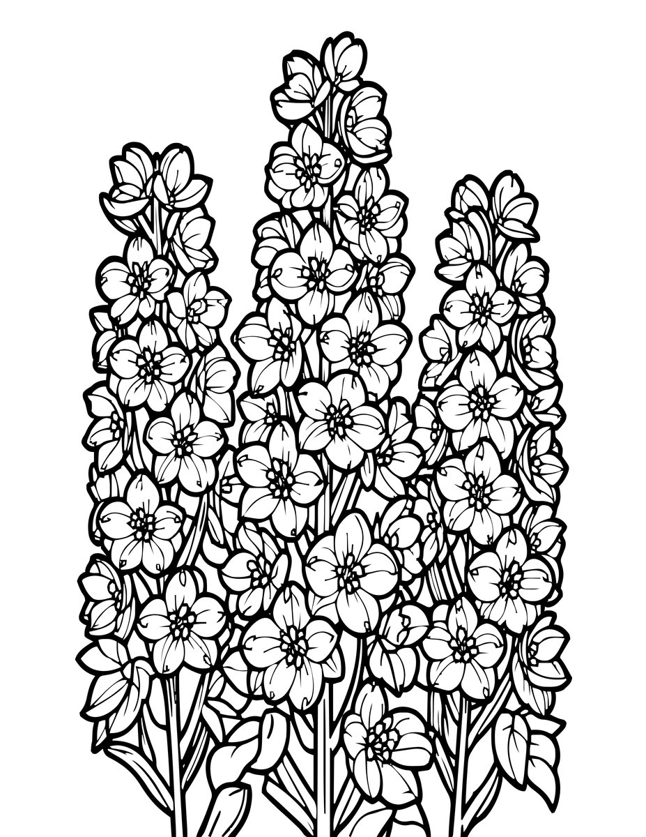 Delphinium Dawn - free printable coloring page