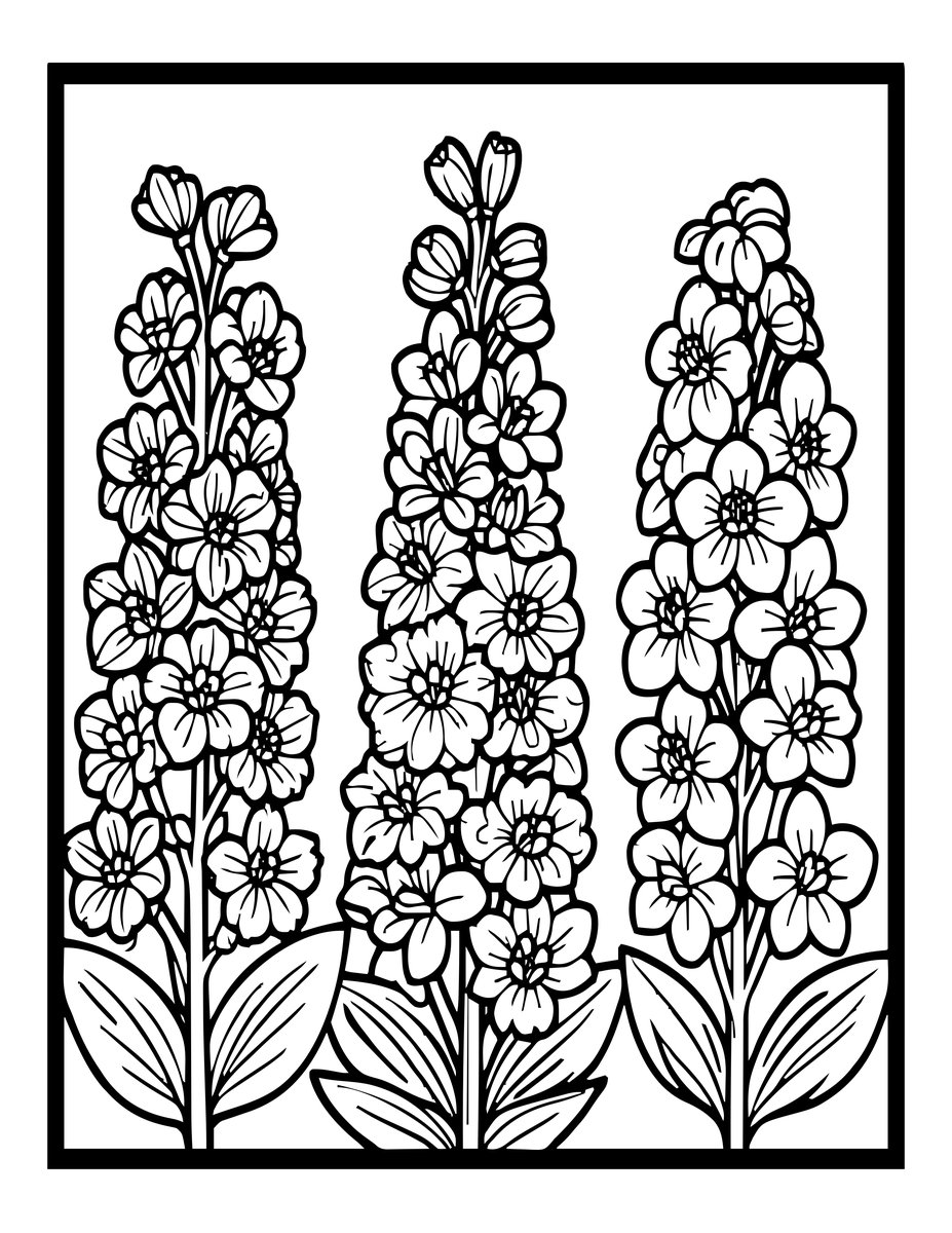 Blue Border Study - free printable coloring page