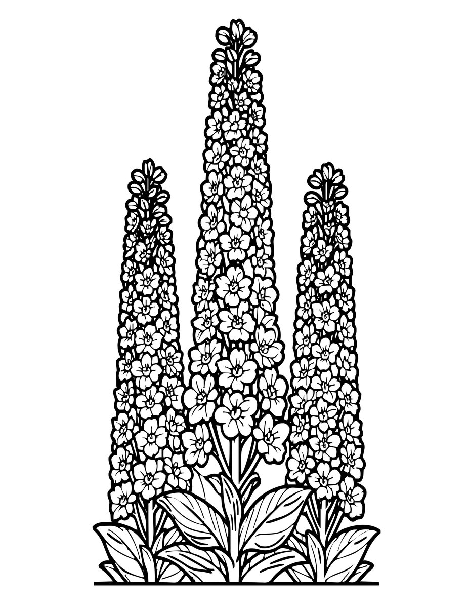 Pacific Giant - free printable coloring page