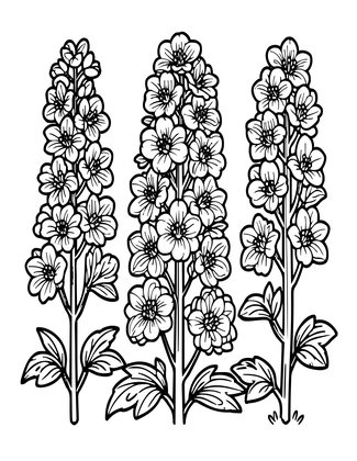 Botanical Plate - Free printable coloring page