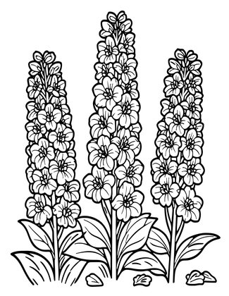 Delphinium Storm - Free printable coloring page