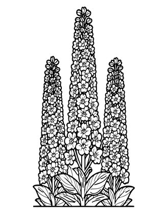 Pacific Giant - Free printable coloring page