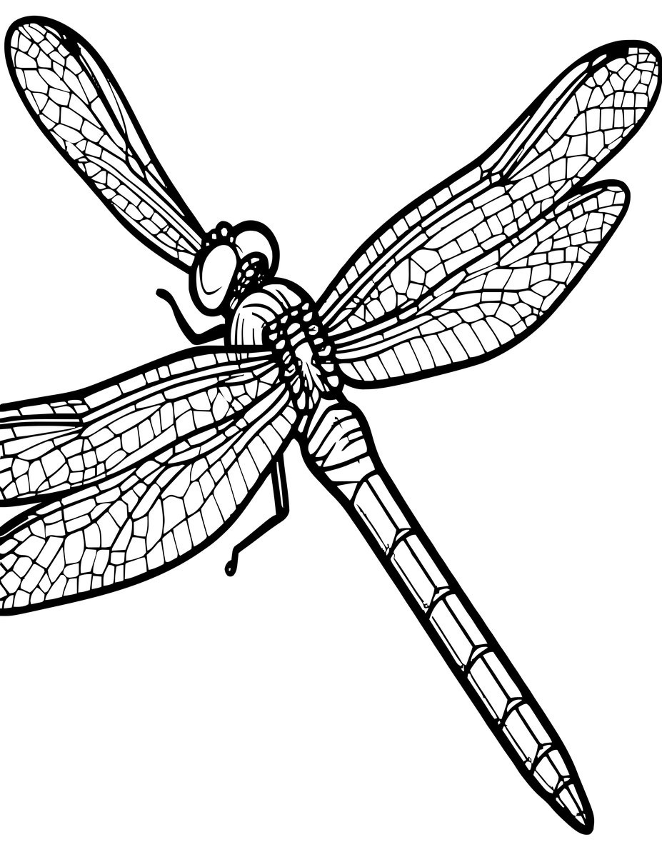 Wing Detail - free printable coloring page