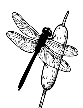 Classic Darner - Free printable coloring page