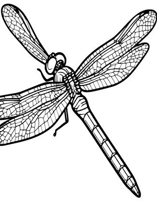 Wing Detail - Free printable coloring page