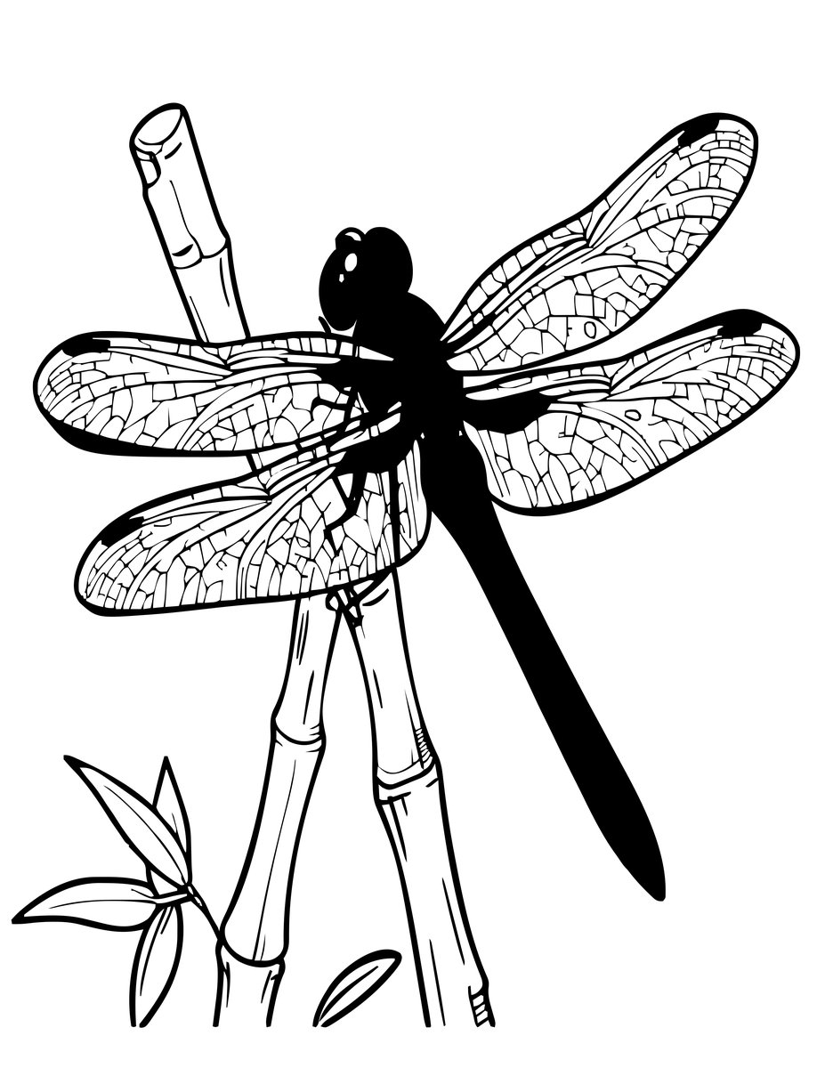 Red Dragonfly - free printable coloring page